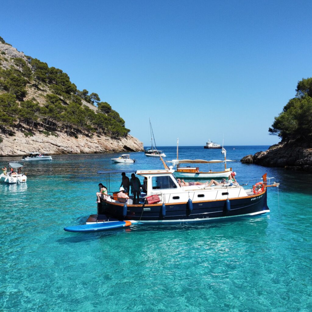 WhatsApp Image 2024-07-18 at 16.46.09_2a17adc2-cut